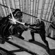 Illustration for article titled What if the Emperor was more monstrous? Check out some insane emReturn of the Jedi/em storyboards!